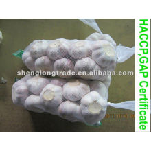 Chinese Fresh Garlic 2011( jinxiang garlic, super quality)